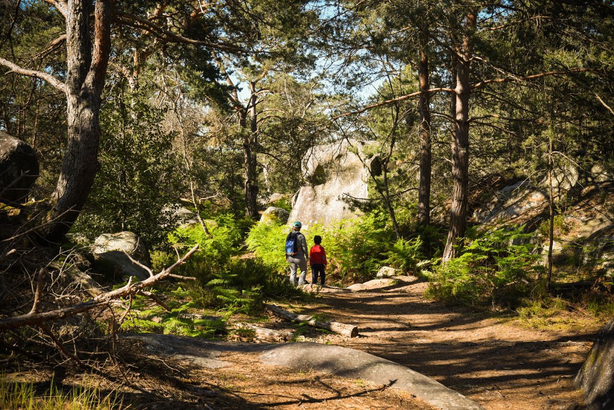 Sentier entre les rochers de la forêt de Fontainebleau